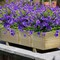 UV-Resistant Artificial Flowers: 10 Bundles for Indoor/Outdoor Decor